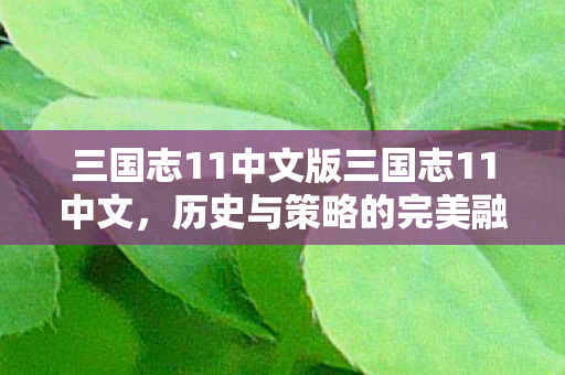 三国志11中文版三国志11中文图片