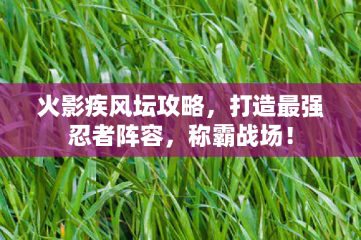 打造最强忍者阵容图片
