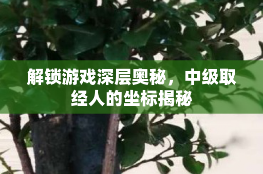 中级取经人的坐标揭秘图片
