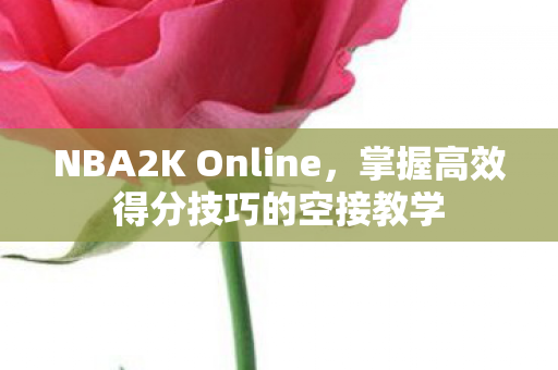 掌握高效得分技巧的空接教学图片