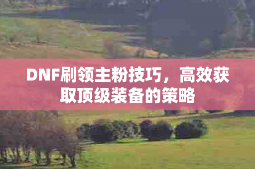 高效获取顶级装备的策略图片