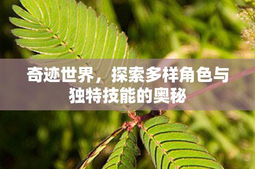 探索多样角色与独特技能的奥秘图片