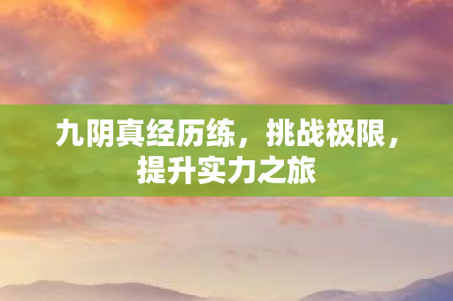 九阴真经历练,挑战极限,提升实力之旅 九阴真经历练,挑战极限,提升实力之旅