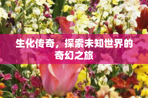 探索未知世界的奇幻之旅图片