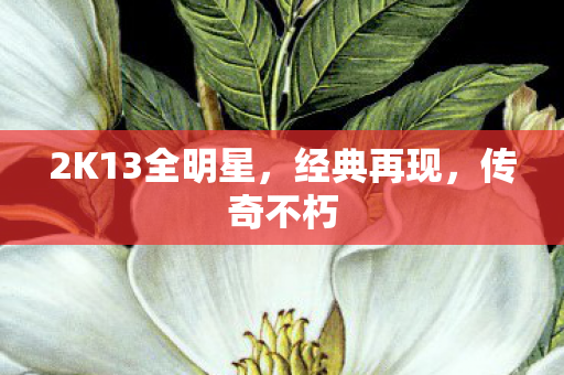 2K13全明星,经典再现,传奇不朽 2K13全明星,经典再现,传奇不朽