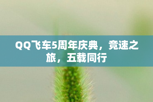 QQ飞车5周年庆典图片