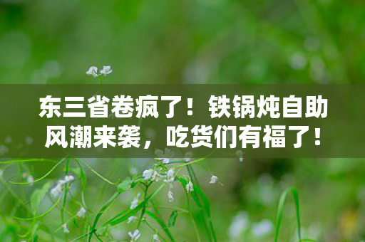 东三省卷疯了!铁锅炖自助风潮来袭,吃货们有福了! 东三省卷疯了!铁锅炖自助风潮来袭,吃货们有福了!