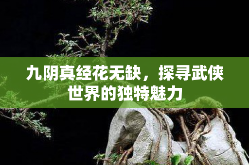 探寻武侠世界的独特魅力图片