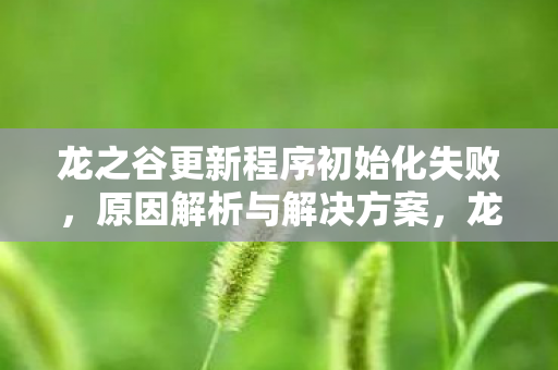 龙之谷更新程序初始化失败图片