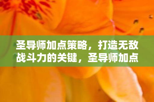 圣导师加点策略，打造无敌战斗力的关键，圣导师加点策略，打造无敌战斗力的关键