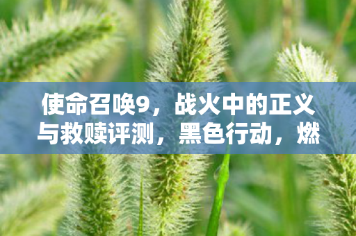 使命召唤9,战火中的正义与救赎评测,黑色行动,燃情再现 使命召唤9,战火中的正义与救赎评测,黑色行动,燃情再现