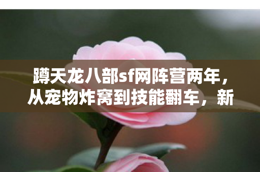 新人必避的血泪坑天龙八部私服图片