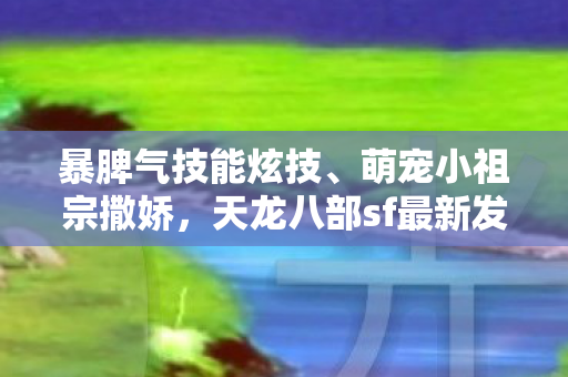 天龙八部sf最新发布的阵营冤家互怼日常天龙八部私服图片