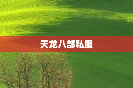 天龙八部私服图片