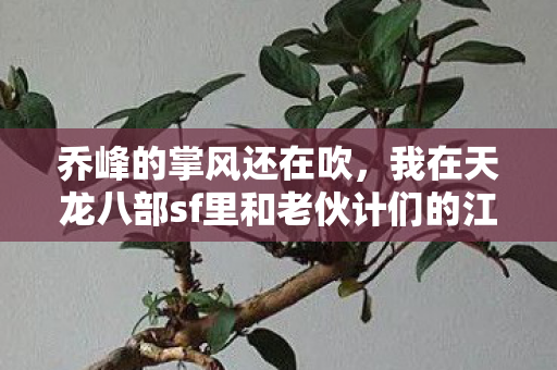 乔峰的掌风还在吹，我在天龙八部sf里和老伙计们的江湖日常天龙八部私服