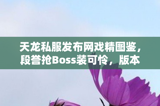 天龙私服发布网戏精图鉴图片