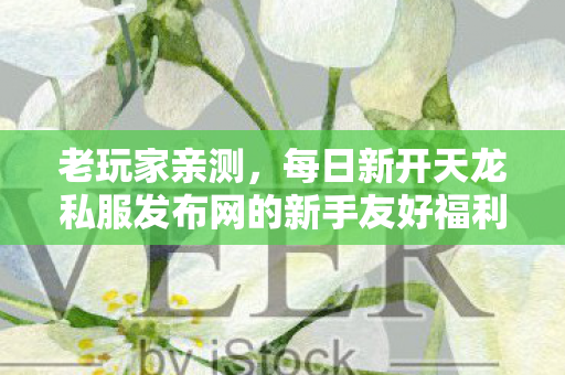 每日新开天龙私服发布网的新手友好福利与隐藏玩法全分享天龙私服图片