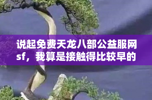 说起免费天龙八部公益服网sf图片