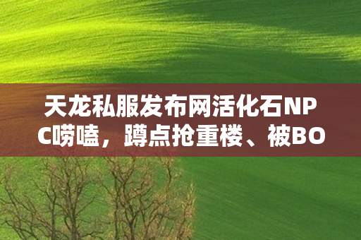 被BOSS虐到卸载的血泪经验天龙私服图片