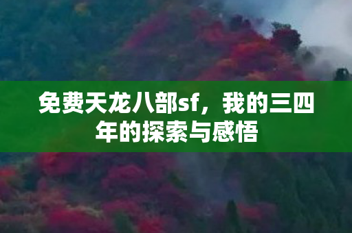 我的三四年的探索与感悟图片