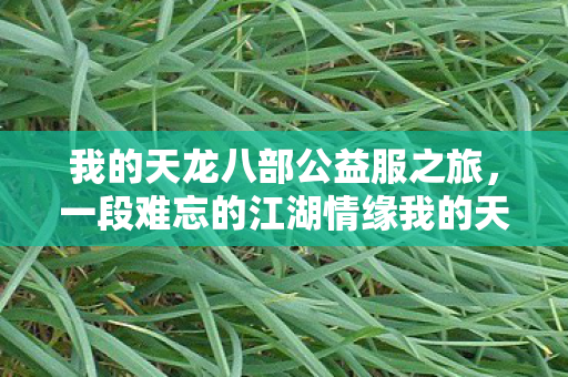一段难忘的江湖情缘我的天龙八部公益服之旅图片
