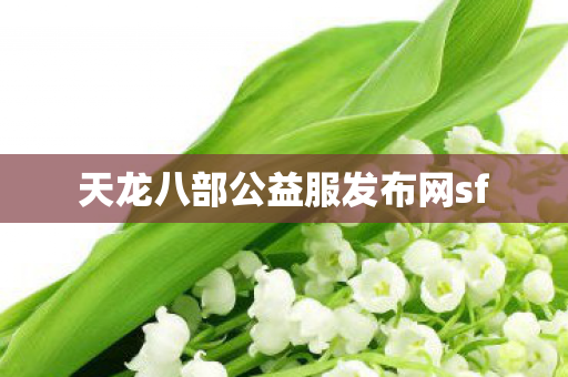 天龙八部公益服发布网sf图片