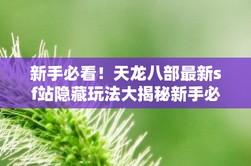 天龙八部最新sf站隐藏玩法大揭秘新手必看图片