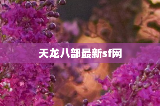 天龙八部最新sf网图片