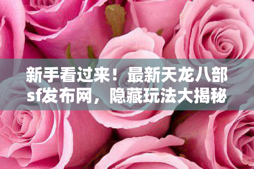 隐藏玩法大揭秘新手看过来图片