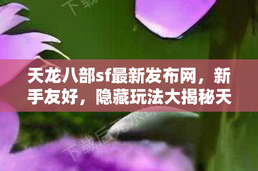 隐藏玩法大揭秘天龙八部sf最新发布网图片