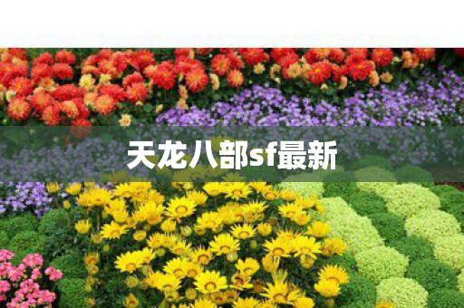 天龙八部sf最新图片