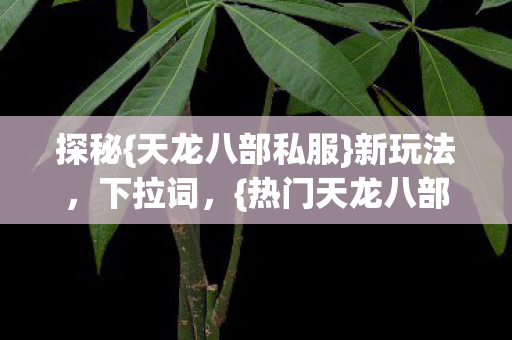 热门天龙八部私服推荐图片