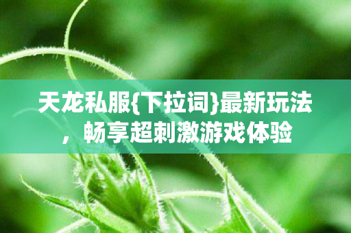 畅享超刺激游戏体验图片