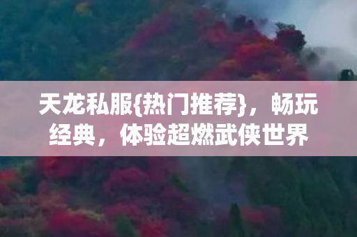 体验超燃武侠世界图片