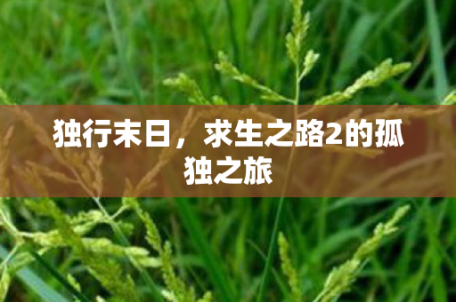 求生之路2的孤独之旅图片
