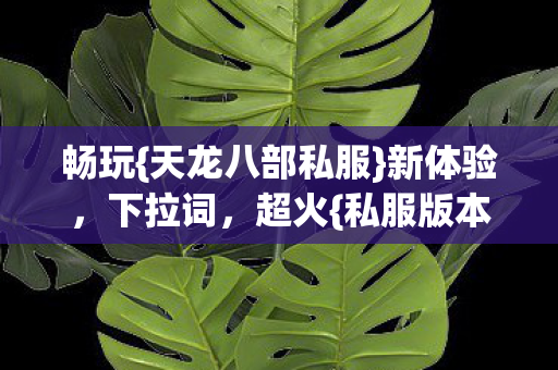 天龙八部私服图片