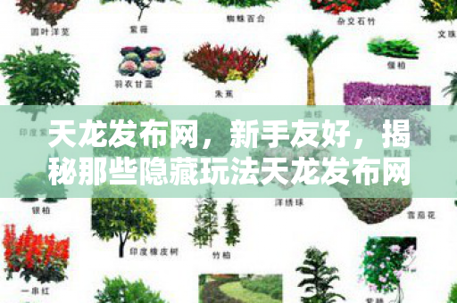 揭秘那些隐藏玩法天龙八部私服图片
