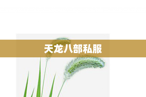 天龙八部私服图片