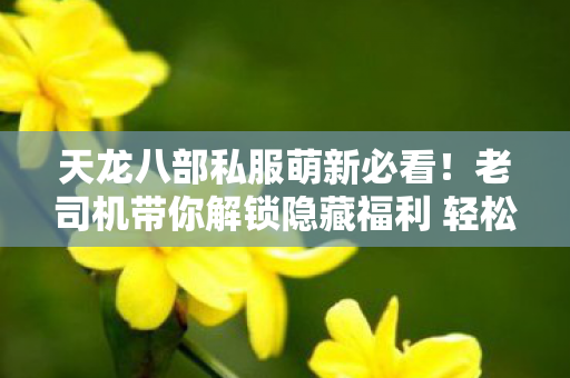 老司机带你解锁隐藏福利 轻松白嫖顶级装备天龙八部私服图片