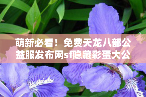 免费天龙八部公益服发布网sf隐藏彩蛋大公开 零门槛也能爽玩一整天天龙八部私服图片