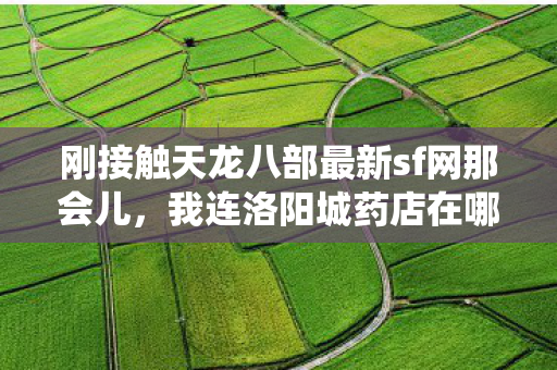 我连洛阳城药店在哪儿都能绕半小时图片
