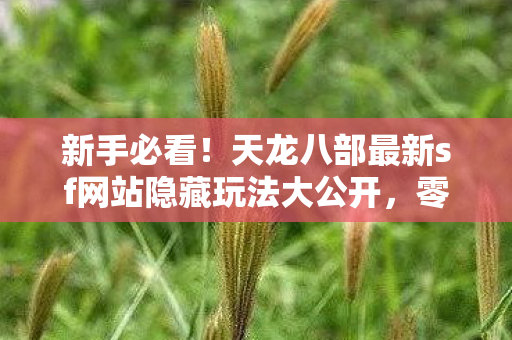 天龙八部最新sf网站隐藏玩法大公开图片