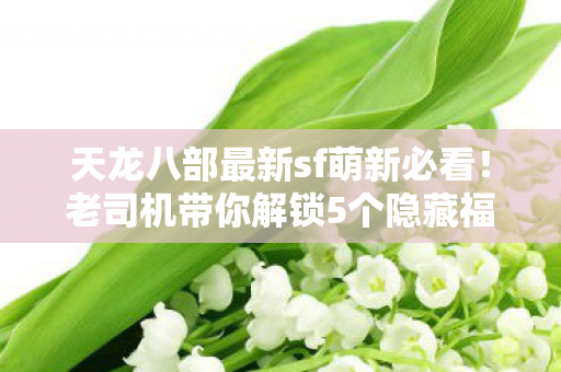 老司机带你解锁5个隐藏福利 轻松白嫖顶级装备天龙八部私服图片
