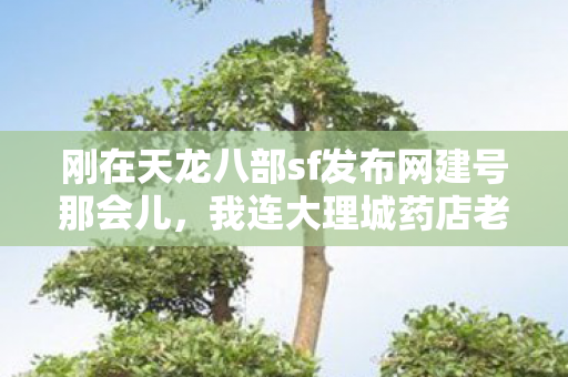 刚在天龙八部sf发布网建号那会儿图片