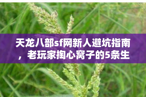 老玩家掏心窝子的5条生存法则天龙八部私服图片