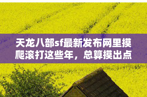 天龙八部sf最新发布网里摸爬滚打这些年图片