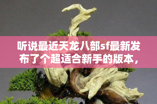 听说最近天龙八部sf最新发布了个超适合新手的版本图片