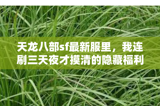 新手照着抄作业就完事了天龙八部私服图片