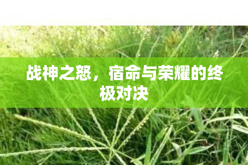 宿命与荣耀的终极对决图片
