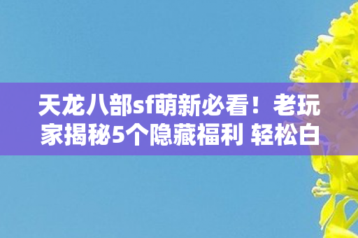 老玩家揭秘5个隐藏福利 轻松白嫖顶级装备天龙私服图片